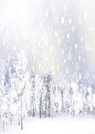 妻子的情人 海报