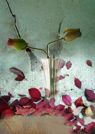 别西卜 在线播放