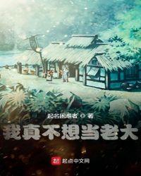 我真不想当老大txt超级麦克风