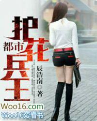 都市护花兵王金元宝本尊免费阅读