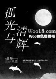 孤光与清辉在线阅读