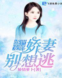 盛世婚宠娇妻请多指教