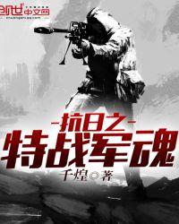 抗日之特战军魂免费阅读全文