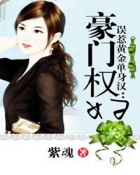 误惹黄金单身汉豪门权妇免费阅读