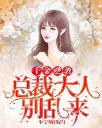 总裁大人千里追妻