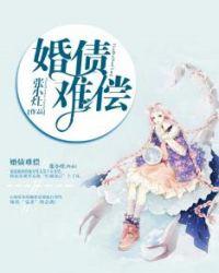 婚债难偿 张小灶完整版