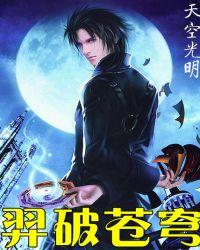 羿破苍穹 天空光明txt百度