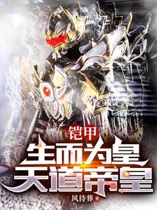 帝皇铠甲超越天道