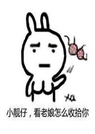 毁了他cici免费阅读全文女主宋璟