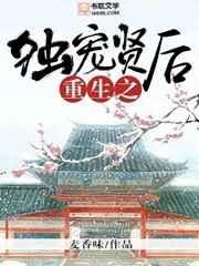 重生之独宠贤后by乔