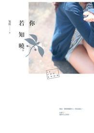 你若懂我何须多言的意思