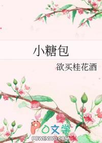 小糖包晋江文学城