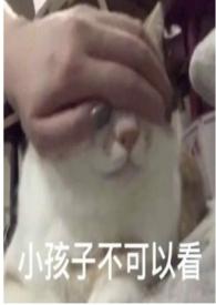 圈养折枝1ⅴ1笔趣阁