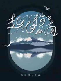 起飞指南 布厘吱讲了什么