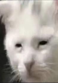 非典型性暗恋漫画下拉式