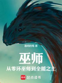 巫师全集