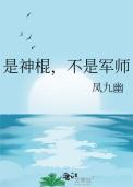 不是军师免费阅读