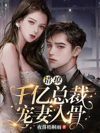 错撩千亿总裁宠妻入骨