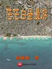 茫茫黑夜漫游哪个译本好