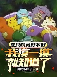 为美好的宝可梦世界献上内卷