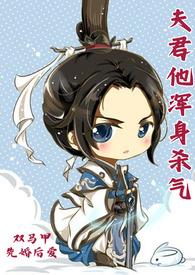 夫君他浑身杀气(双马甲 先婚后爱 武侠甜文)